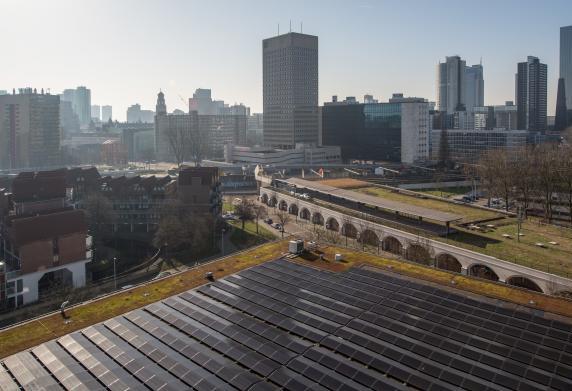 Zonnepanelen op het groene dak van het Stadsarchief aan de Hofdijk, 2017
